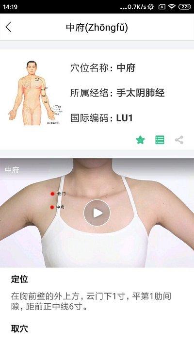 经络穴位图解app下载,经络穴位图解,健康app,中医app